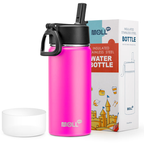 Water Bottle with Straw-16oz  MOLL